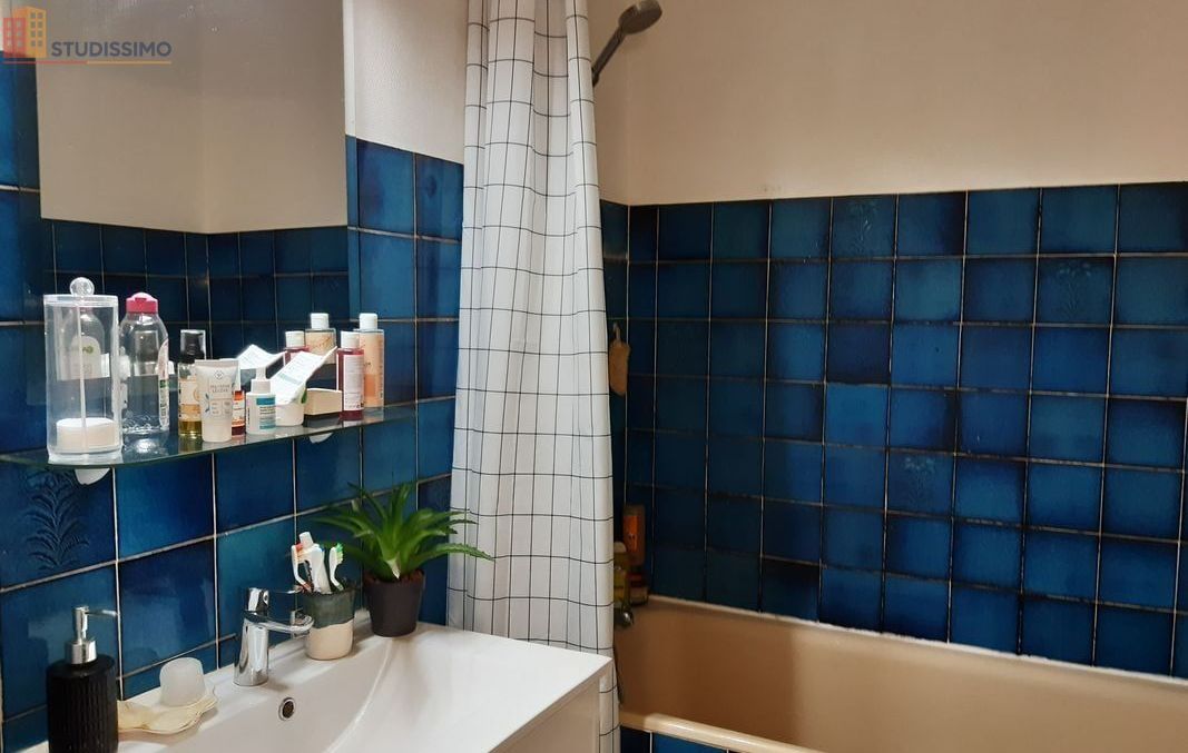 Studio meublé 36m² Angers 49100 - Dernier étage, lumineux - Photo 1