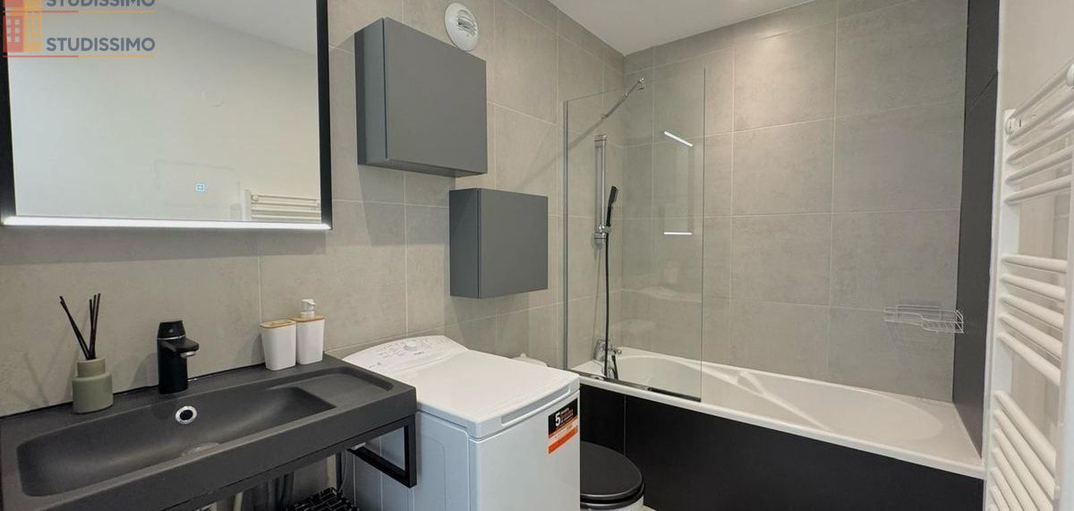 Studio meublé 26m² Lyon 9e - Grande terrasse, lumineux - Photo 1