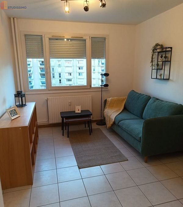 Studio 46m² Villeurbanne - Proche Tête d'Or, garage, meublé - Photo 1