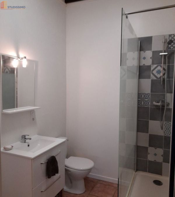 Studio meublé 31m² Belleville-en-Beaujolais - Meublé, DPE D - Photo 1