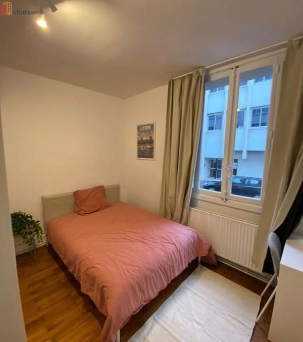 Studio meublé 10m² Lyon 7e - Meublé, cosy - Photo 2