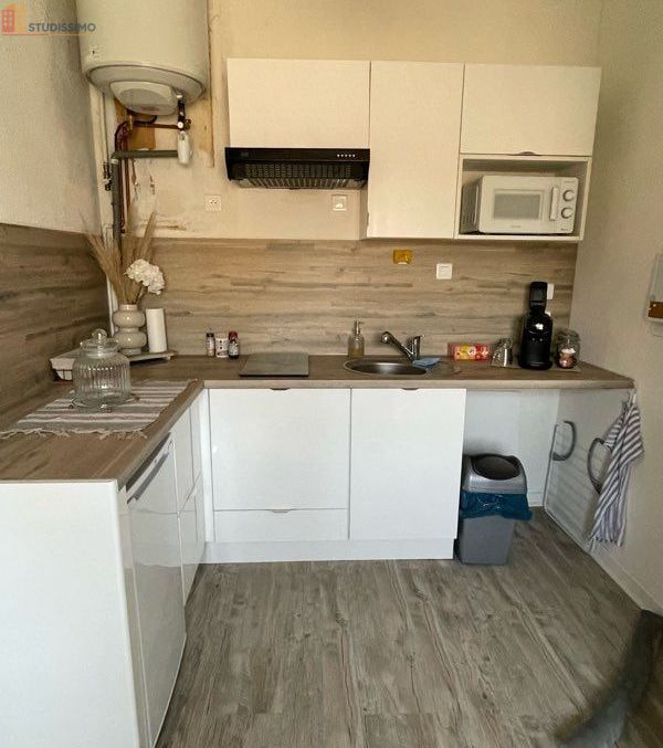 Studio 25m² Sain-Bel 69210 - Meublé, DPE C - Photo 1