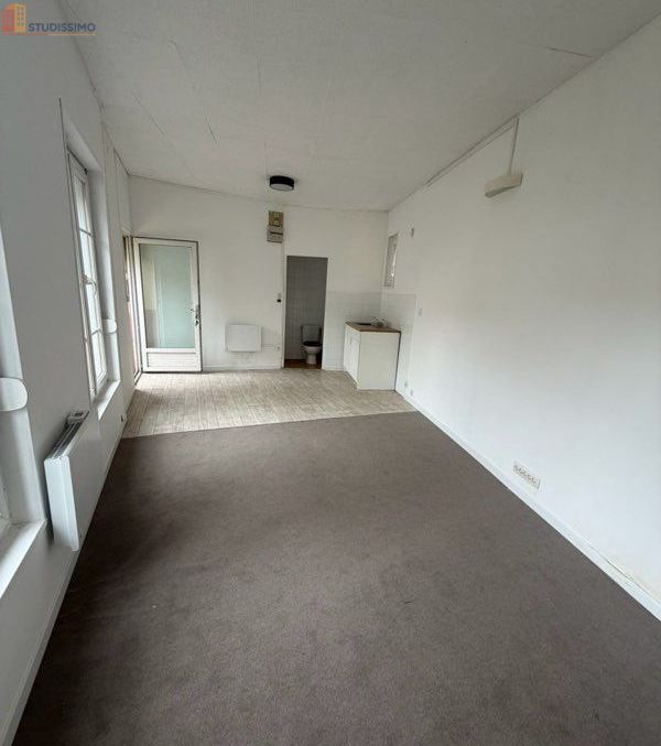 Studio 29m² Elbeuf - Charmant, lumineux - Photo 4