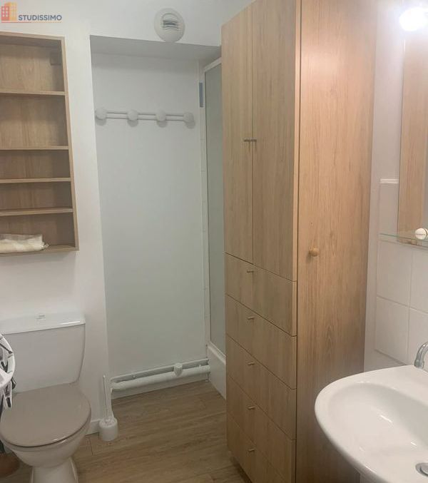 Studio meublé 20m² Rouen Pasteur - Meublé, lumineux - Photo 5