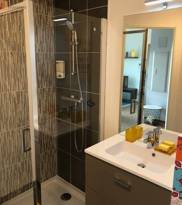 Studio 25m² Reims 51100 - Lumineux, DPE C - Photo 1
