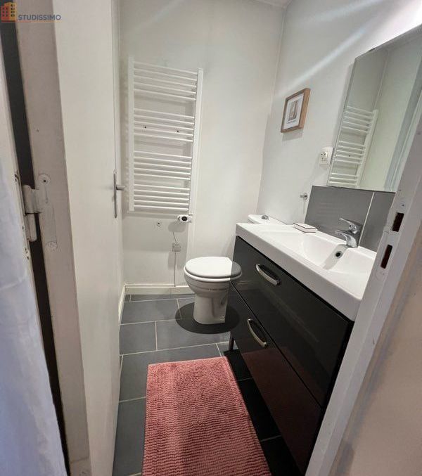 Studio meublé 25m² Rouen centre - Haussmannien, meublé - Photo 4