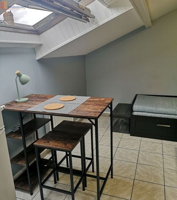 Studio meublé 19m² Rouen 76100 - Calme, proche Jardin des Plantes - Photo 12