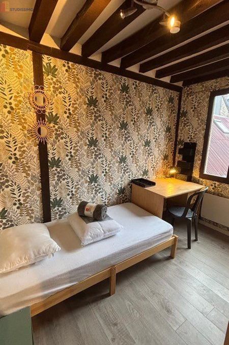 Studio meublé 22m² Rouen 76000 - Typique rouennais, proche CHU - Photo 4
