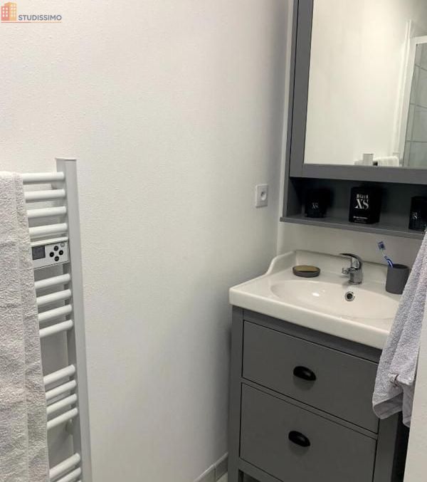 Studio 35m² Sézanne - lumineux, rénové - Photo 3