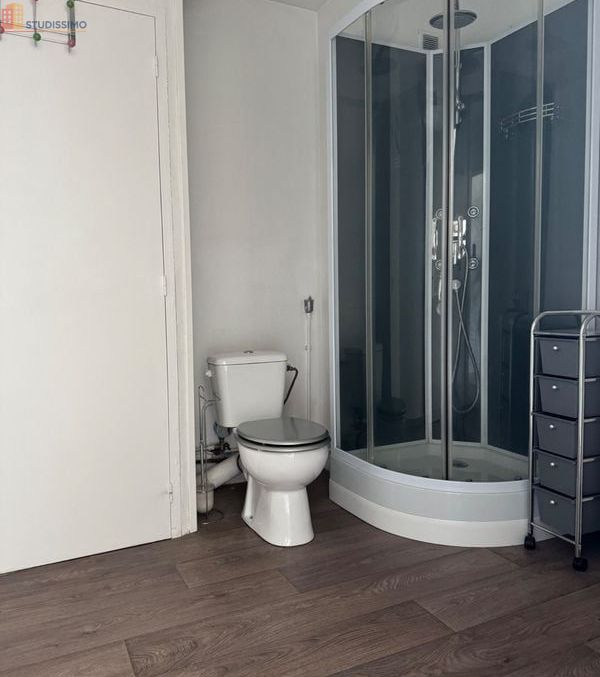 Studio 28m² Laval centre - Dernier étage, lumineux - Photo 2