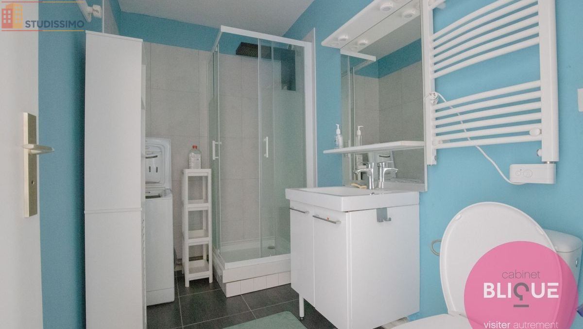 Studio 29m² Vandoeuvre-lès-Nancy - 2e étage, DPE D - Photo 4