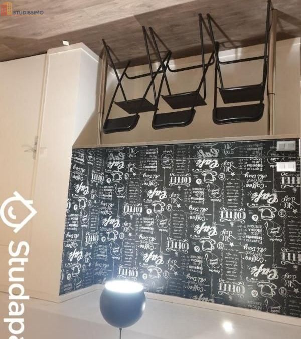 Studio meublé 11m² Torcy - Meublé, DPE A - Photo 9