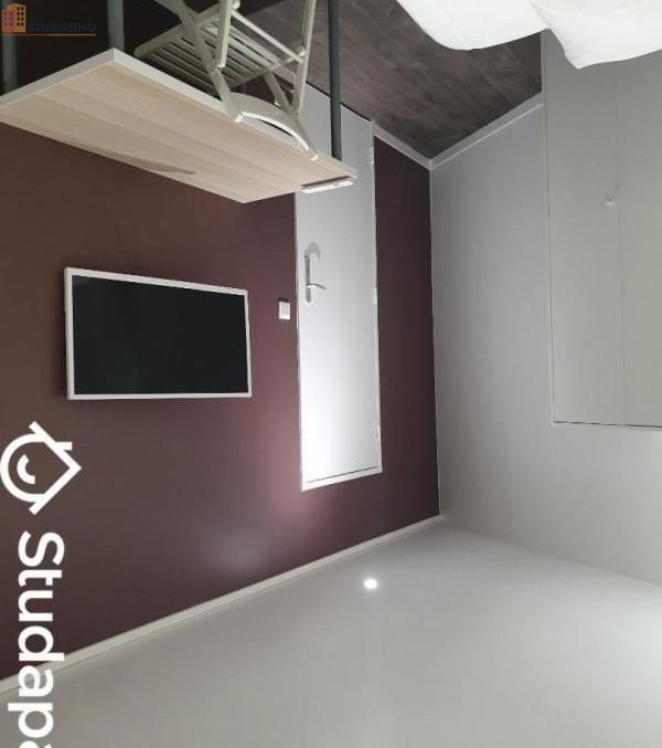 Studio meublé 11m² Torcy - Meublé, DPE A - Photo 3