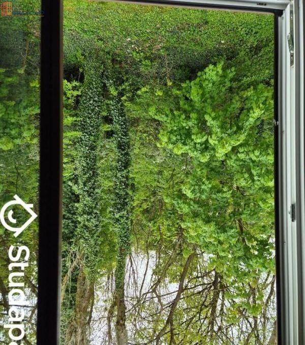 Studio meublé 20m² Champs-sur-Marne - Meublé, 3e étage - Photo 4