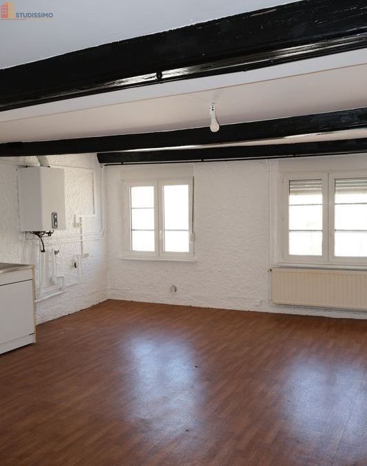 Studio 44m² Nancy - Duplex, 1 chambre - Photo 6