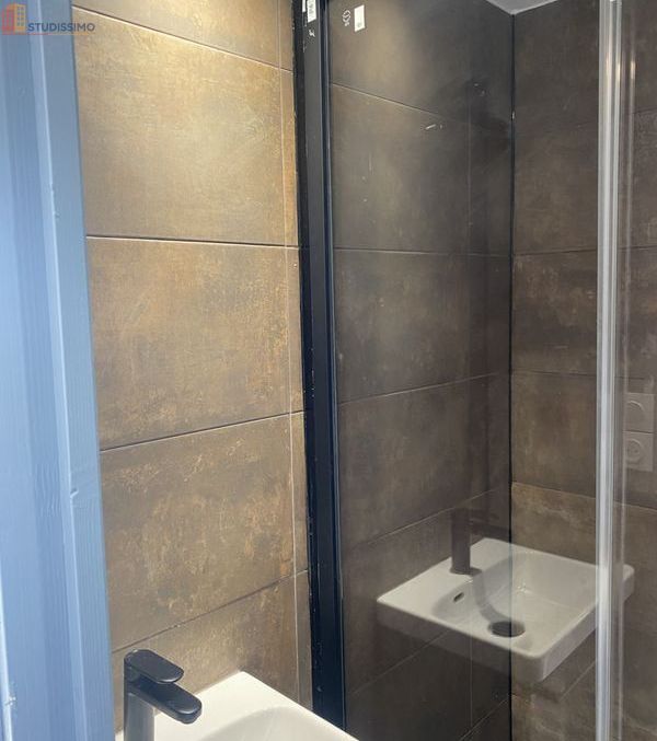 Studio 24m² Nancy 54000 - Dernier étage, DPE C - Photo 4