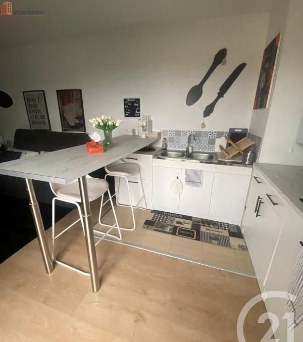 Studio 26m² Brie-Comte-Robert 77170 - Photo 3