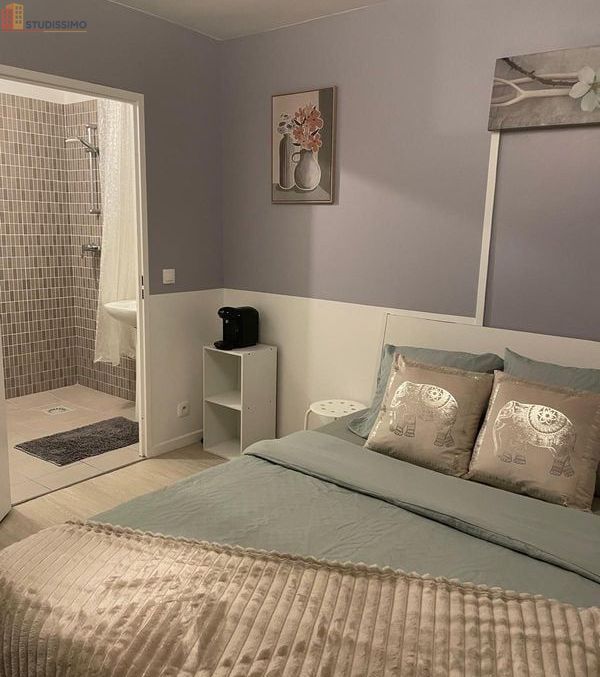 Studio meublé 20m² Montévrain Val d'Europe - Proche RER A, Disney - Photo 5