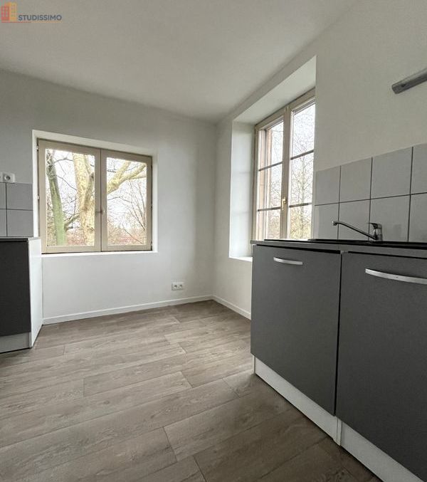Studio 33m² Lunéville - Lumineux - Photo 5