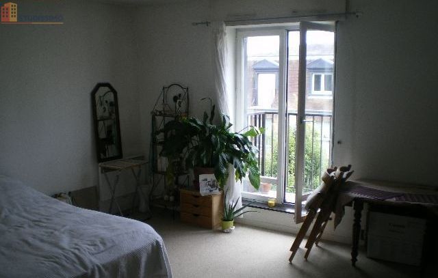 Studio 36m² Fontainebleau - Dernier étage, lumineux - Photo 2