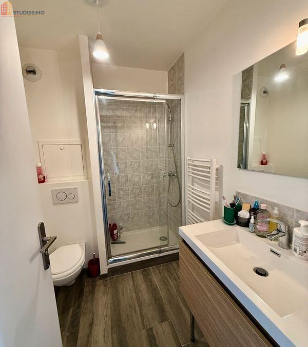 Studio 27m² Lagny-sur-Marne - Meublé, bord de Marne - Photo 2