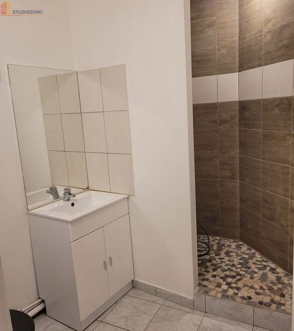 Studio 27m² Bray-sur-Seine - grand espace - Photo 2