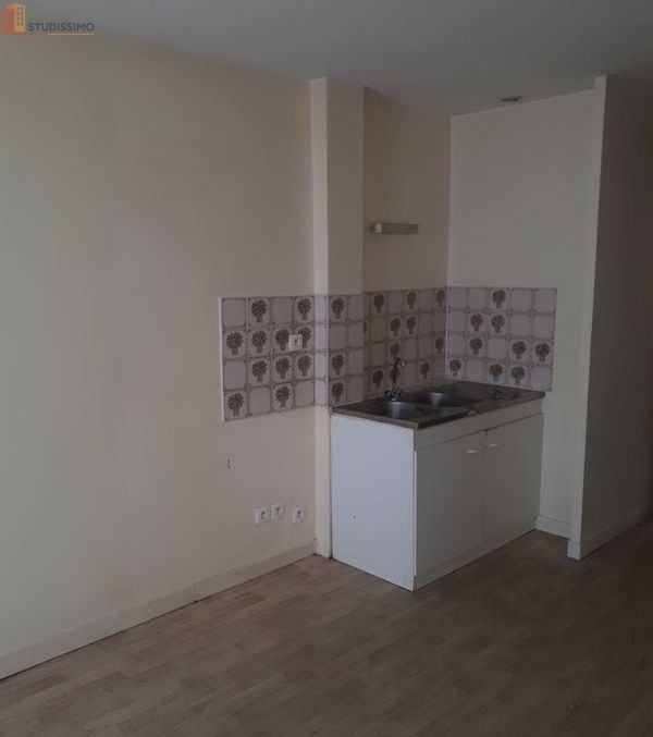 Studio 24m² Souppes-sur-Loing - C exposé, lumineux - Photo 5