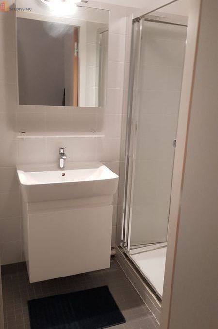 Studio meublé 15m² Guyancourt - Meublé, dernier étage - Photo 1