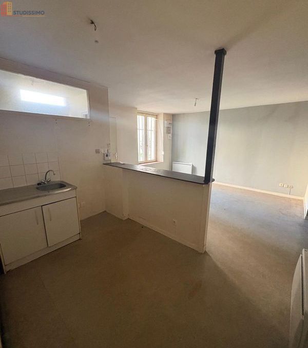 Studio 54m² Nancy - RDC, lumineux - Photo 6