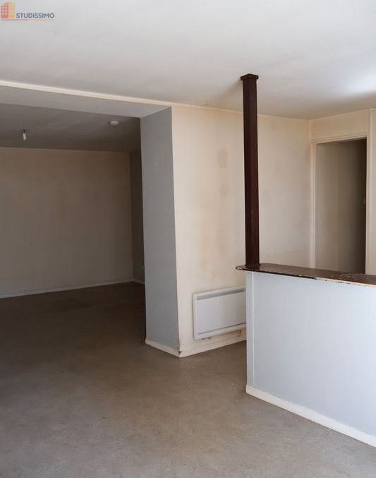 Studio 54m² Nancy - RDC, lumineux - Photo 4
