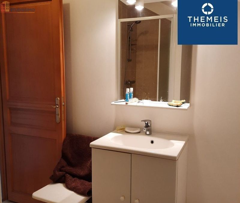 Studio 35m² Rambouillet - Étage élevé, lumineux - Photo 3