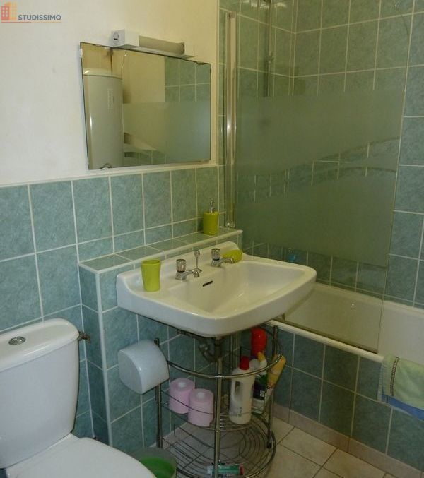 Studio 30m² Villers-lès-Nancy - Dernier étage - Photo 3