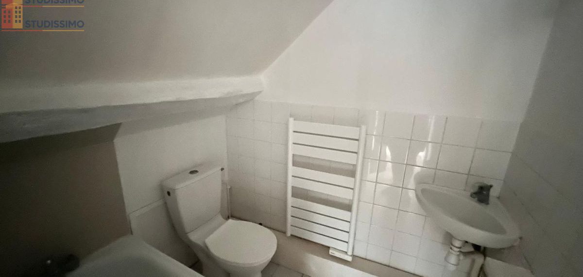 Studio 12m² La Queue-les-Yvelines - calme, lumineux - Photo 38
