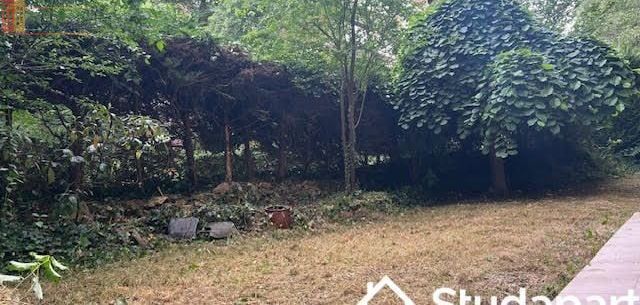 Studio 10m² Jouy-en-Josas - Meublé, DPE D - Photo 2