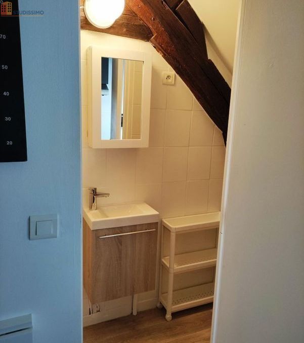 Studio meublé 22m² Chevreuse - Plein centre, lumineux - Photo 2