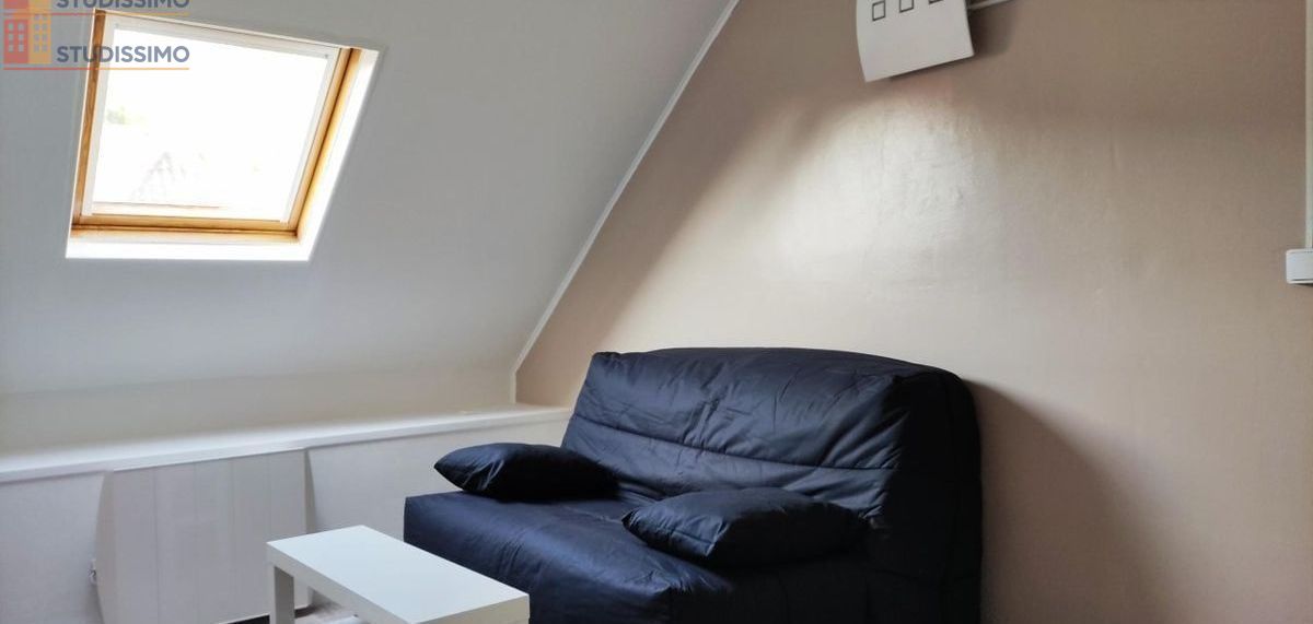 Studio meublé 22m² Chevreuse - Plein centre, lumineux - Photo 1