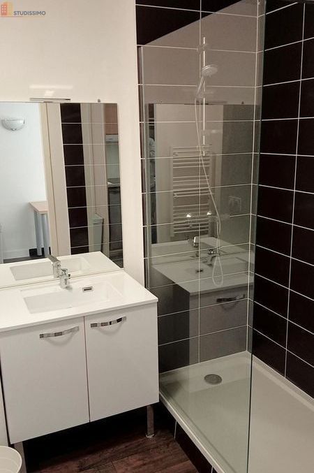 Studio meublé 27m² Niort 79000 - Meublé, DPE B - Photo 4