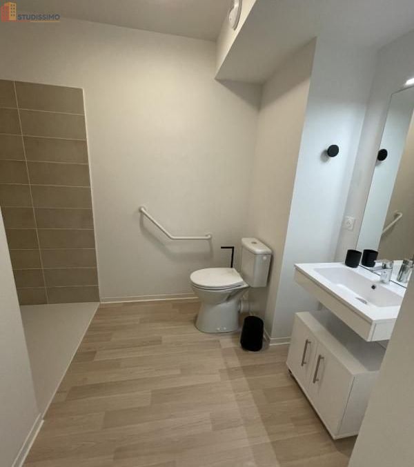 Studio 24m² Niort - Meublé, DPE B - Photo 12