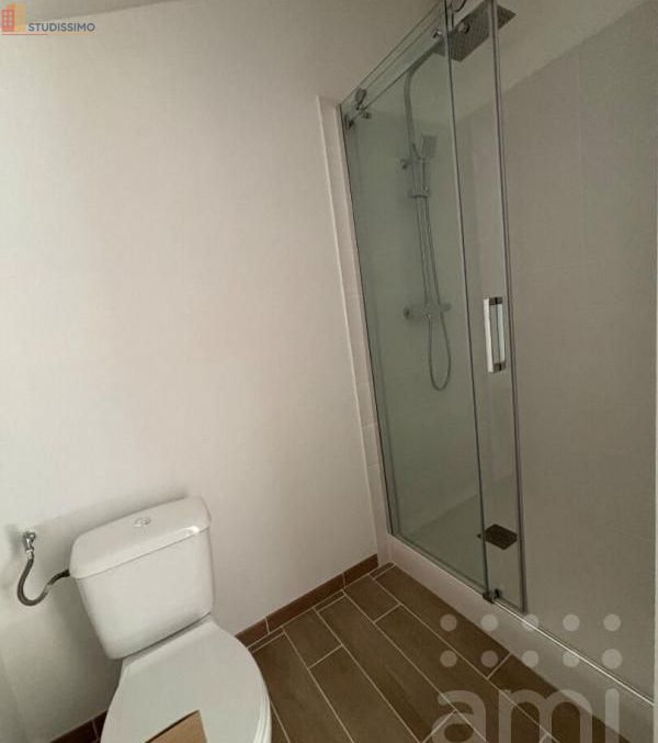 Studio 21m² Niort - Étage élevé, DPE C - Photo 1