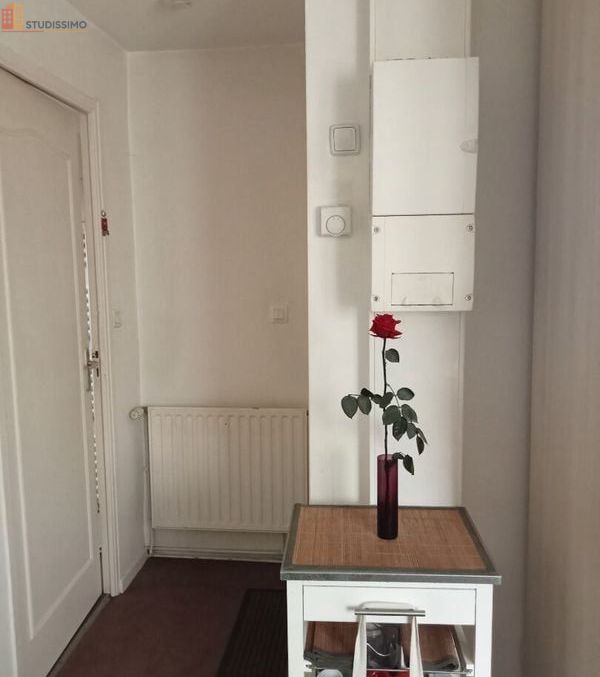 Studio 19m² Hennebont - lumineux - Photo 4