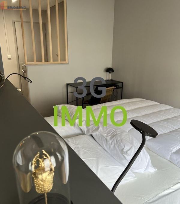 Studio meublé 31m² Niort centre - Parking, lumineux - Photo 4