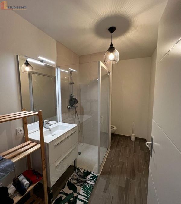 Studio 31m² Pont-de-Metz - lumineux, DPE C - Photo 4