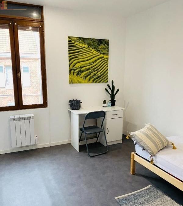 Studio 9m² Amiens - Meublé, DPE A - Photo 4