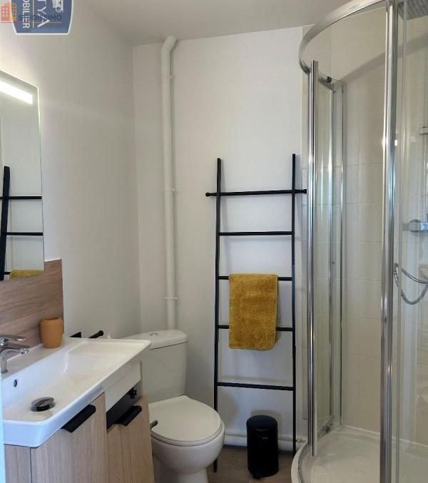 Studio meublé 31m² Amiens centre - Lumineux - Photo 9