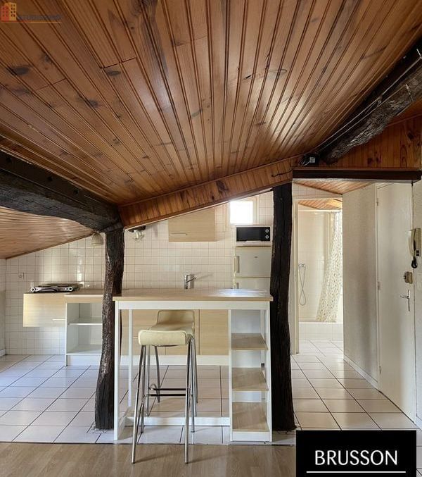 Studio meublé 47m² Castres - Dernier étage, lumineux - Photo 3