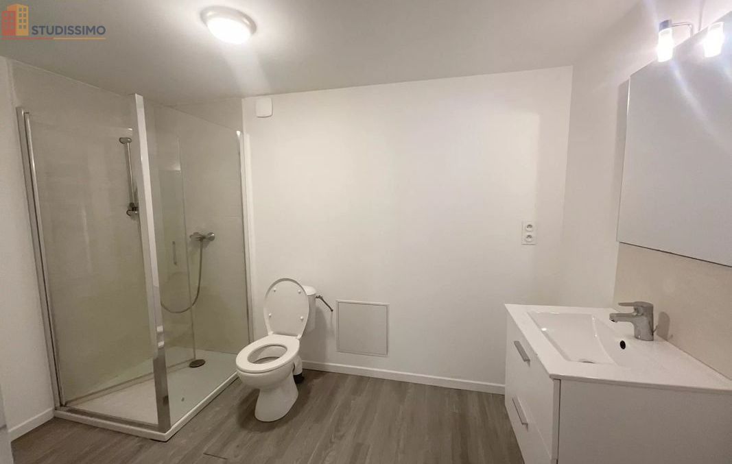 Studio 43m² Réalmont - Lumineux, spacieux - Photo 4