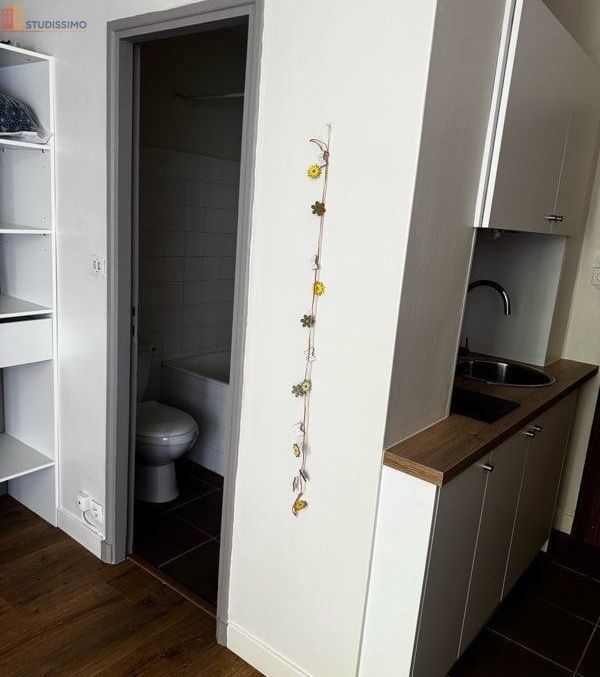 Studio meublé 20m² Albi - Meublé, 1 pièce - Photo 1