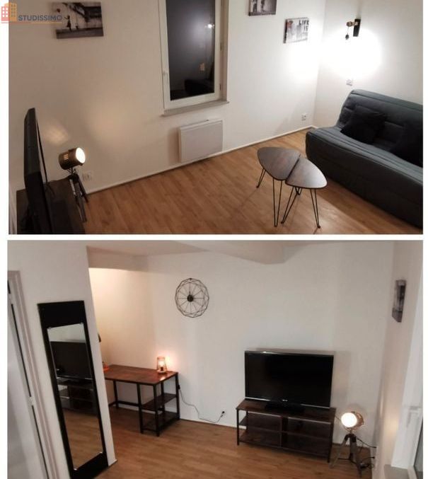 Studio meublé 25m² Albi centre - Cosy, grand espace - Photo 5