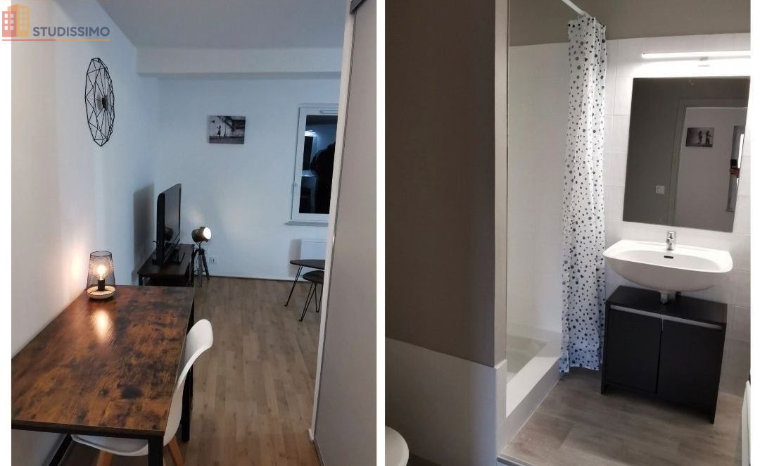 Studio meublé 25m² Albi centre - Cosy, grand espace - Photo 1