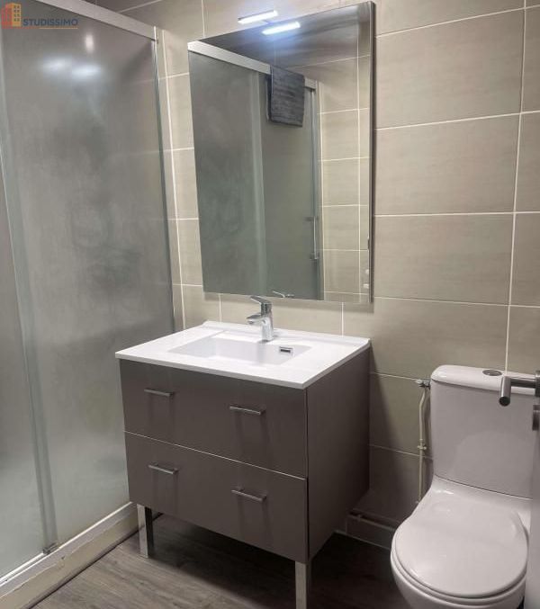 Studio 32m² Castres - Lumière naturelle - Photo 4